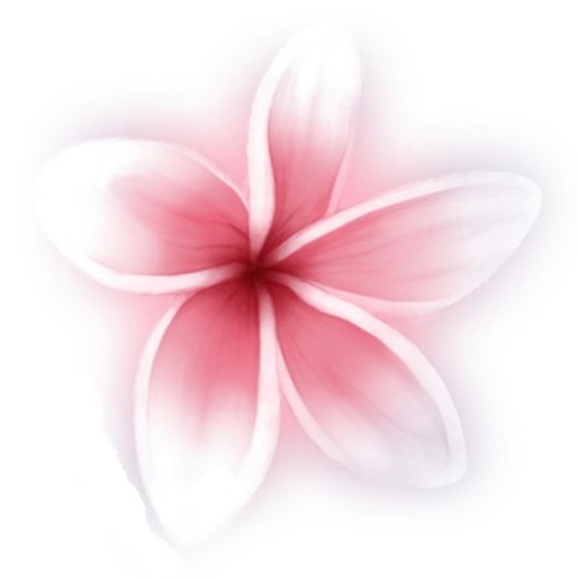 Meet your Posher, Nal - Picture 4 of 4